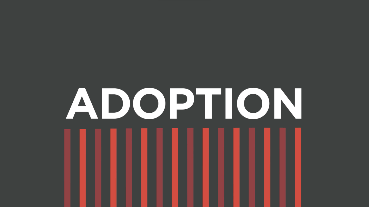 Adoption